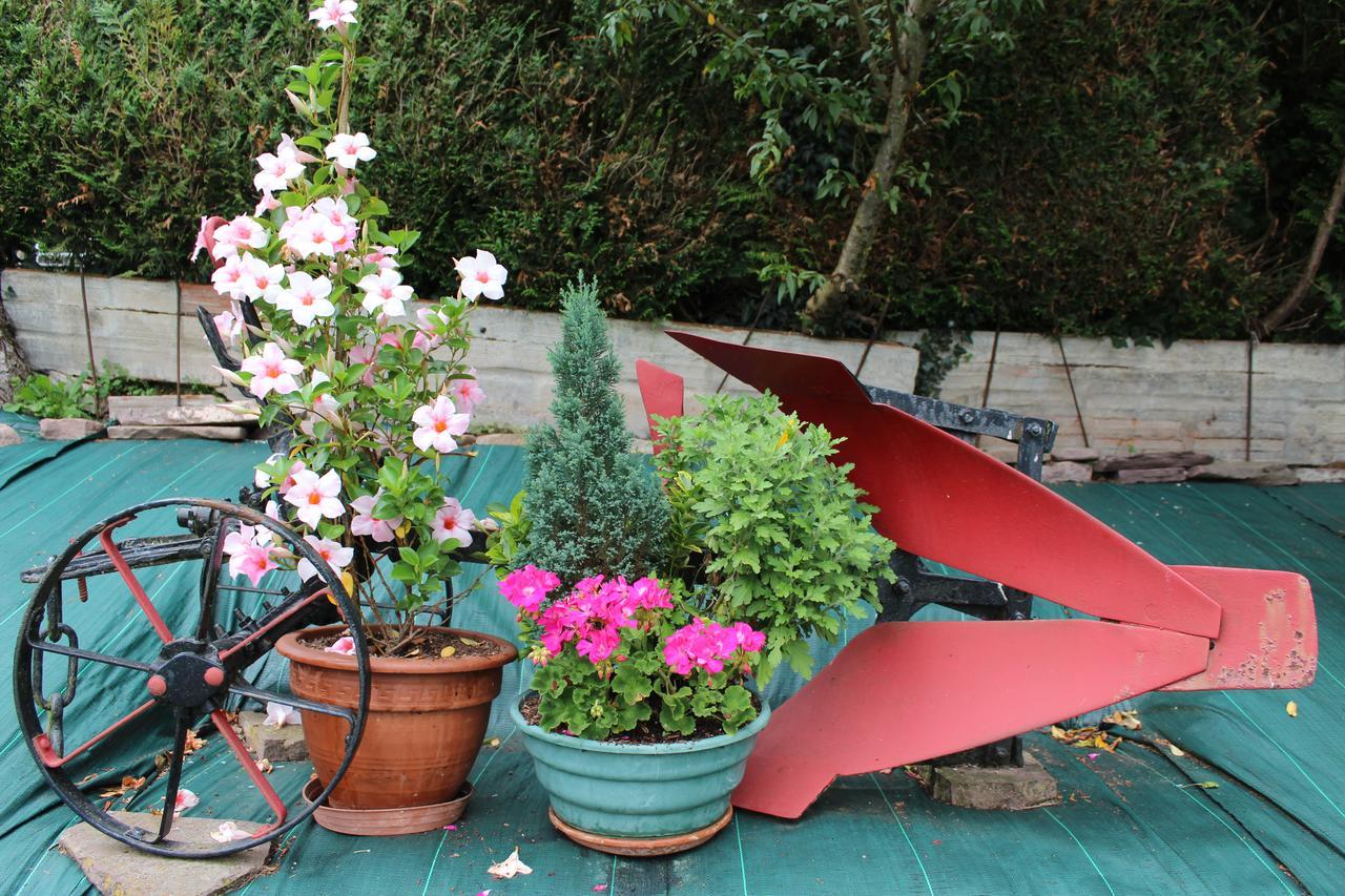 Apartment Rural Oizalde Elizondo